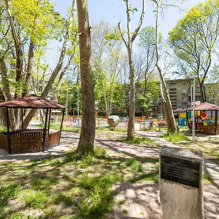 акцент Varna